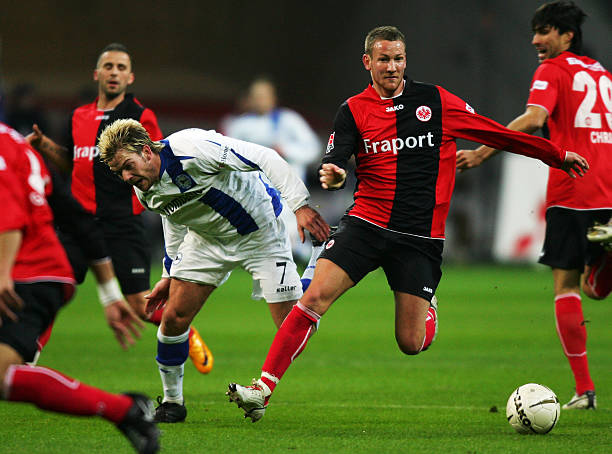 多伦多猛龙 多伦多猛龙